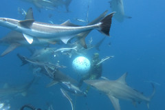 DCIM\100GOPRO\GOPR1374.JPG