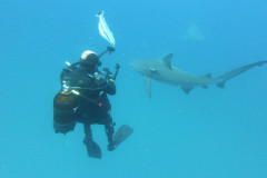 DCIM\100GOPRO\GOPR1476.JPG