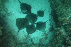DCIM\100GOPRO\GOPR1509.JPG