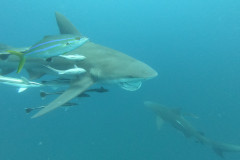 DCIM\100GOPRO\GOPR1568.JPG