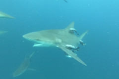 DCIM\100GOPRO\GOPR1570.JPG