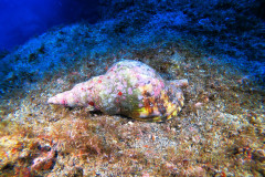 DCIM100GOPROGOPR1741.JPG