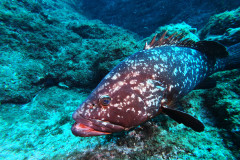 DCIM100GOPROGOPR1763.JPG