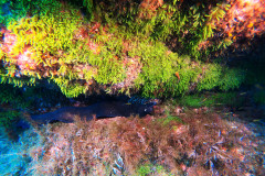 DCIM100GOPROGOPR1773.JPG