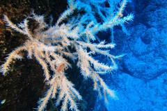 DCIM100GOPROGOPR1780.JPG