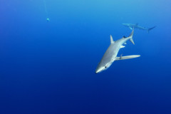 DCIM100GOPROGOPR1846.JPG
