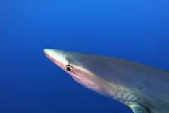 DCIM100GOPROGOPR1848.JPG