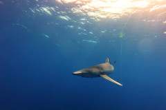 DCIM100GOPROGOPR1856.JPG
