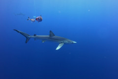 DCIM100GOPROGOPR1873.JPG