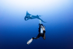 Fuvahmulah-Scuba-Diving-with-Oceanic-Manta-1