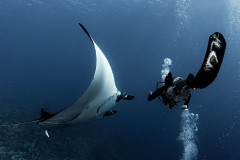 Fuvahmulah-Scuba-Diving-with-Oceanic-Manta2