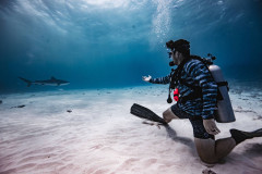 Fuvahmulah-Tiger-Shark-Diving-Photography