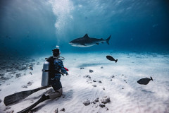 Fuvahmulah-Tiger-Shark-Diving-Photography1