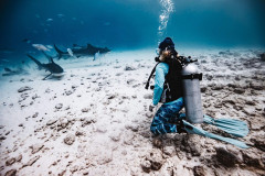 Fuvahmulah-Tiger-Shark-Diving-Photography3