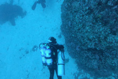 DCIM100GOPROGOPR2774.JPG