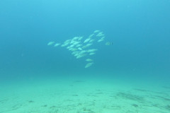 DCIM100GOPROGOPR2860.JPG