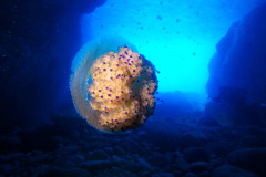 DCIM100GOPROGOPR3782.JPG