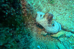 DCIM\100GOPRO\GP010217.JPG