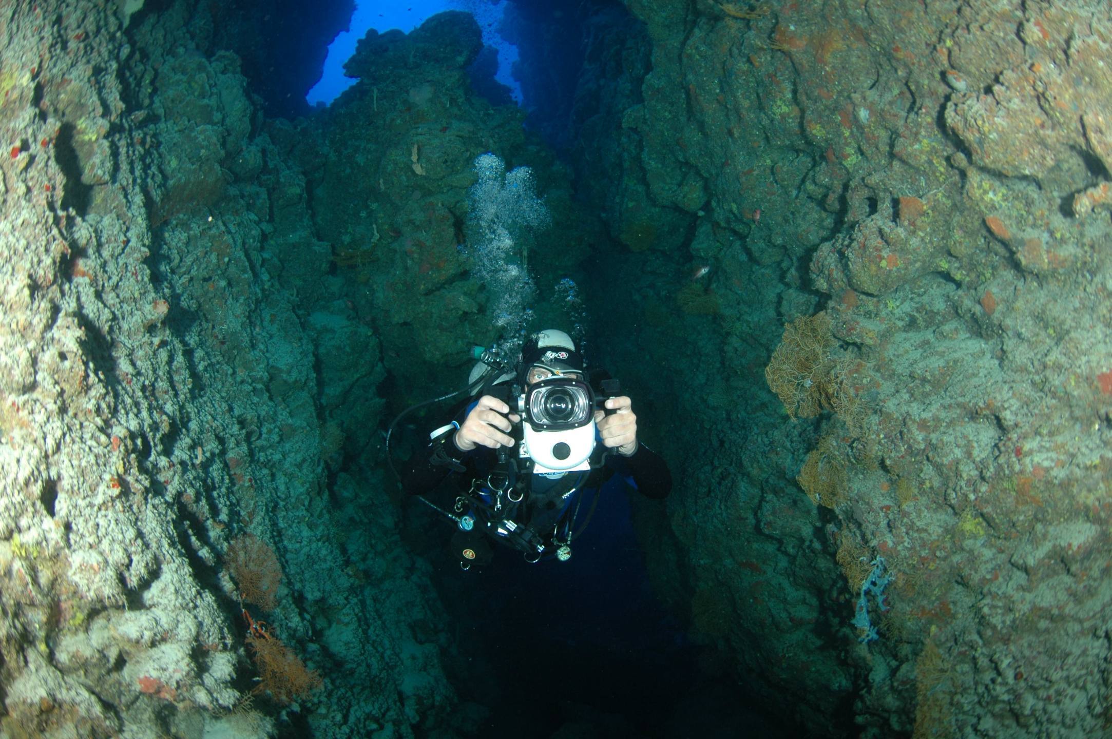 Taucher im Thomas Reef Canyon (Straße von Tiran, Ägypten)