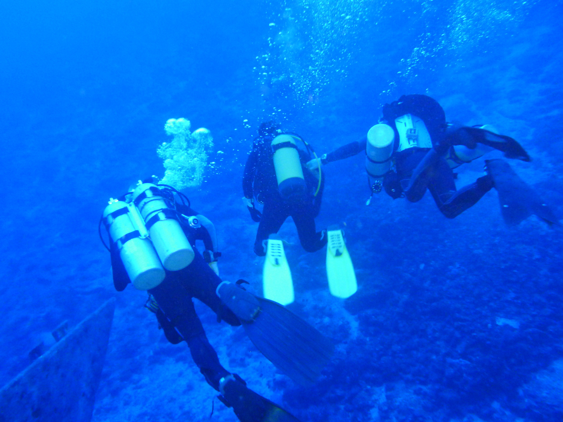 Gruppe von Tauchern beim Abtauchen im Roten Meer.