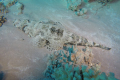DCIM100GOPROGOPR0319.JPG