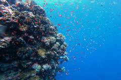 DCIM100GOPROGOPR0413.JPG