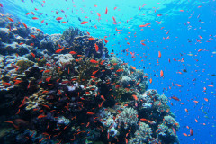 DCIM100GOPROGOPR0415.JPG