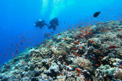 DCIM100GOPROGOPR0432.JPG