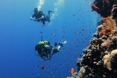 DCIM100GOPROGOPR0480.JPG