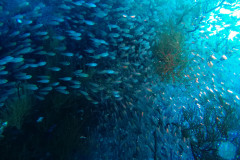 DCIM100GOPROGOPR3524.JPG