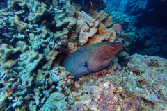 DCIM100GOPROGOPR3530.JPG