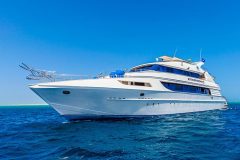Golden Dolphin III