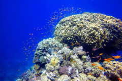 DCIM100GOPROGOPR0903.JPG