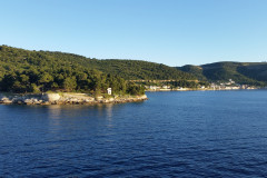 Vis