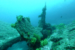 Propeller der Brioni