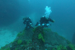 Propeller der Brioni