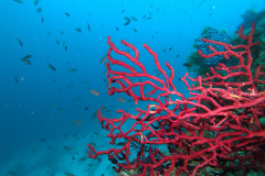 DCIM100GOPROGOPR0362.JPG
