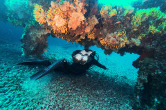 DCIM100GOPROGOPR0657.JPG