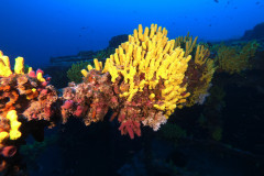 DCIM100GOPROGOPR0683.JPG