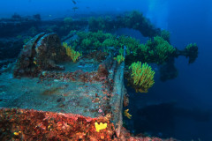 DCIM100GOPROGOPR0684.JPG