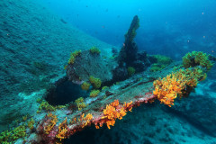 DCIM100GOPROGOPR0725.JPG