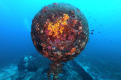 DCIM100GOPROGOPR0731.JPG