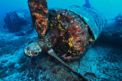 DCIM100GOPROGOPR0739.JPG