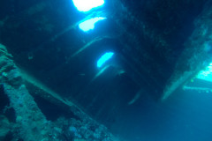 DCIM100GOPROGOPR3131.JPG