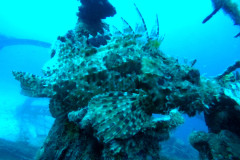 DCIM100GOPROGOPR3179.JPG