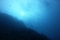 DCIM100GOPROGOPR3871.JPG