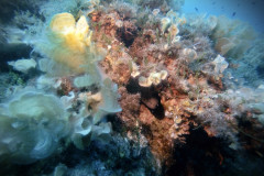 DCIM100GOPROGOPR3874.JPG