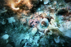 DCIM100GOPROGOPR3899.JPG