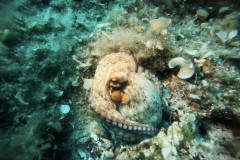 DCIM100GOPROGOPR3901.JPG