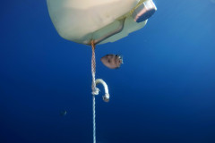 DCIM100GOPROGOPR3944.JPG